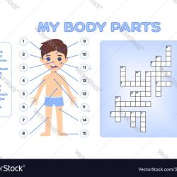 Part of body crossword clue