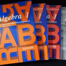 Saxon algebra 1 2 3rd edition