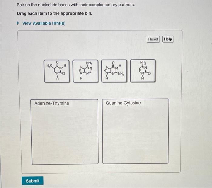 Pair up the nucleotide bases with their complementary partners