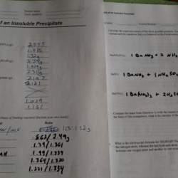 The identity of an insoluble precipitate lab answers